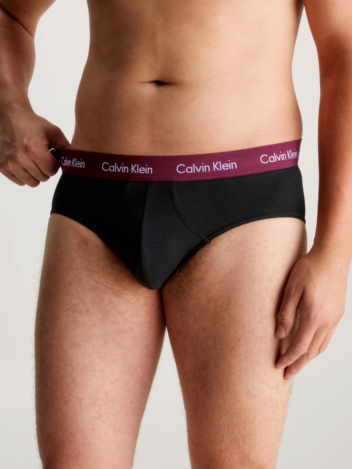 Mens Hip Brief Pants by Calvin Klein (3-Pack), 03, U2661G, B-Black, Tawny Port, Porpoise WBS