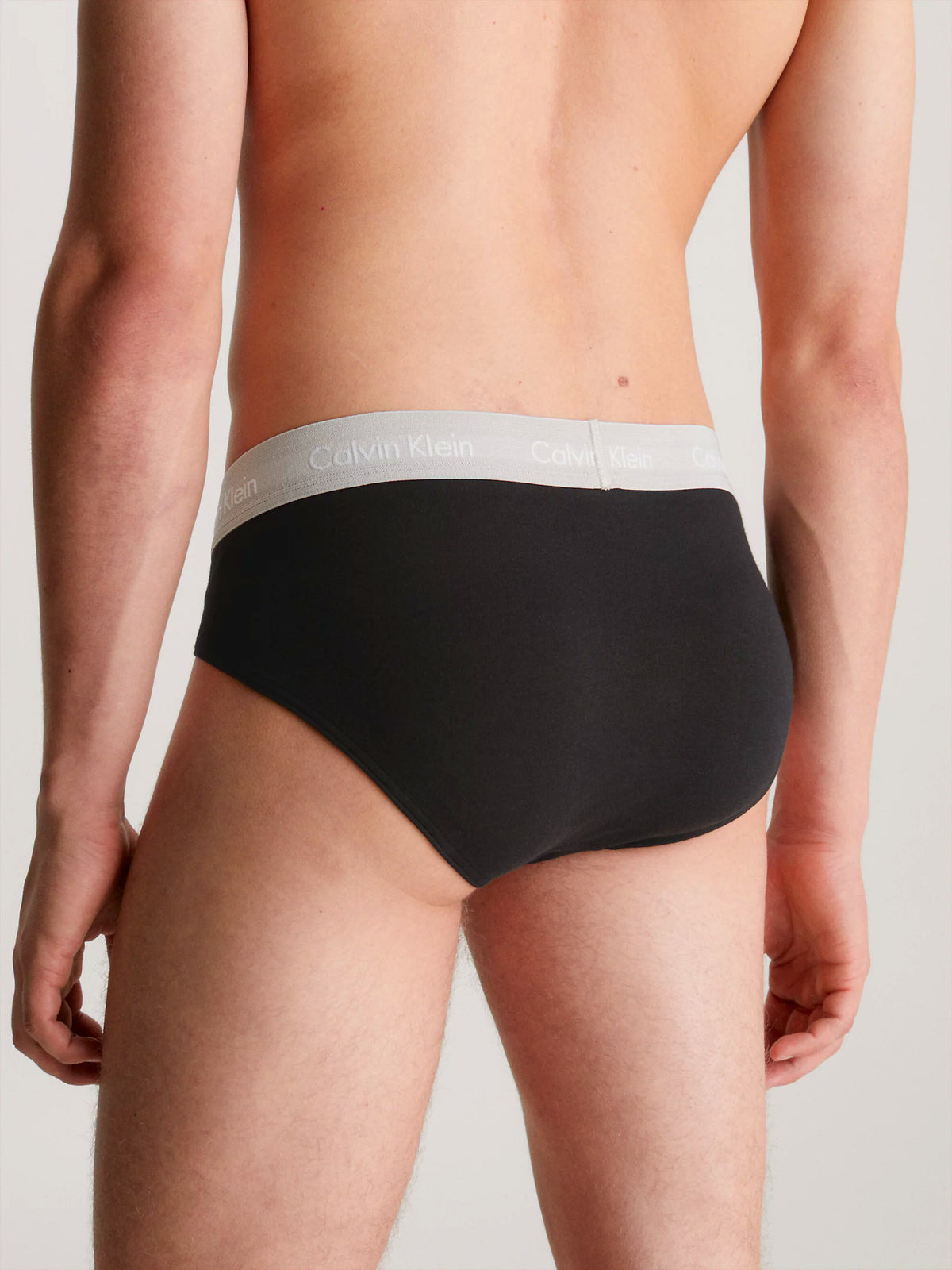 Mens Hip Brief Pants by Calvin Klein (3-Pack), 04, U2661G, B-Black, Tawny Port, Porpoise WBS