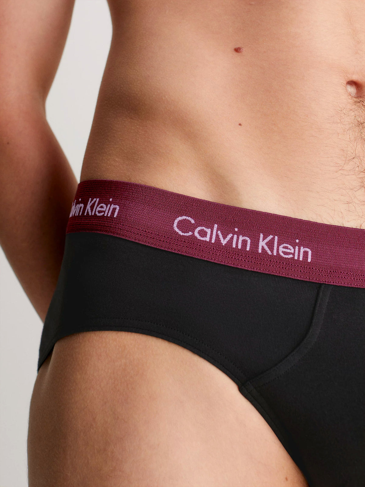 Mens Hip Brief Pants by Calvin Klein (3-Pack), 05, U2661G, B-Black, Tawny Port, Porpoise WBS