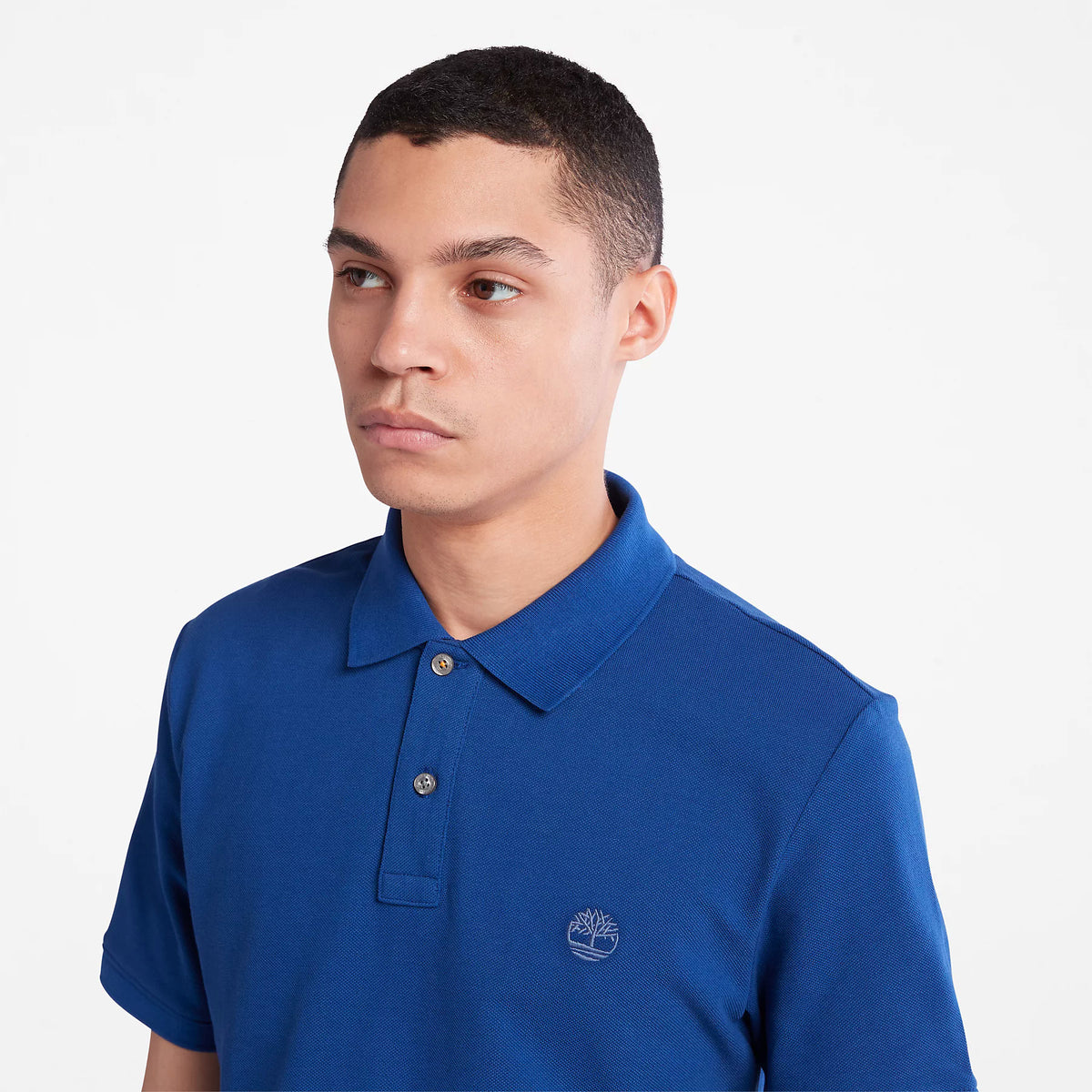 #group_bellwether-blue