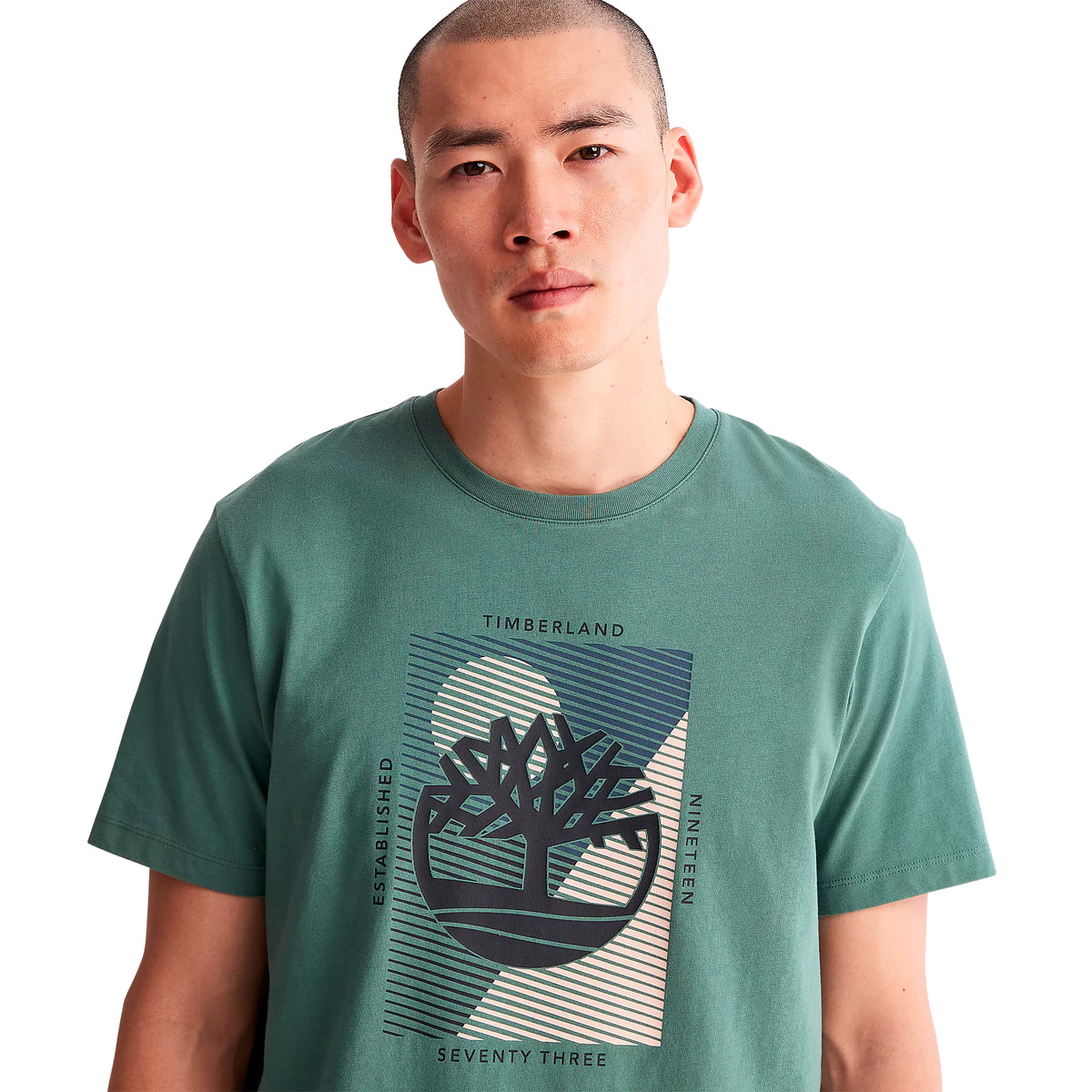 #group_sea-pine