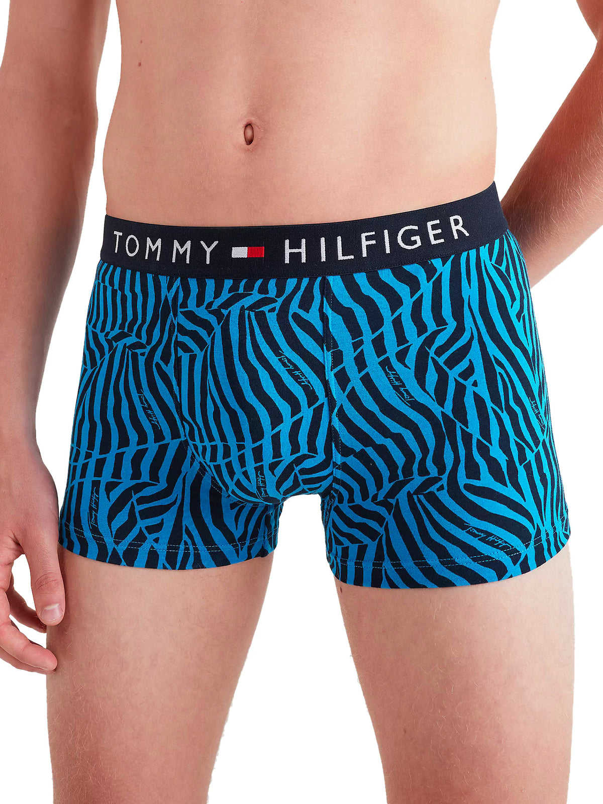 Tommy Hilfiger Mens Boxer Trunks (1-Pack), 01, Um0Um01831, Rumpled Stripe