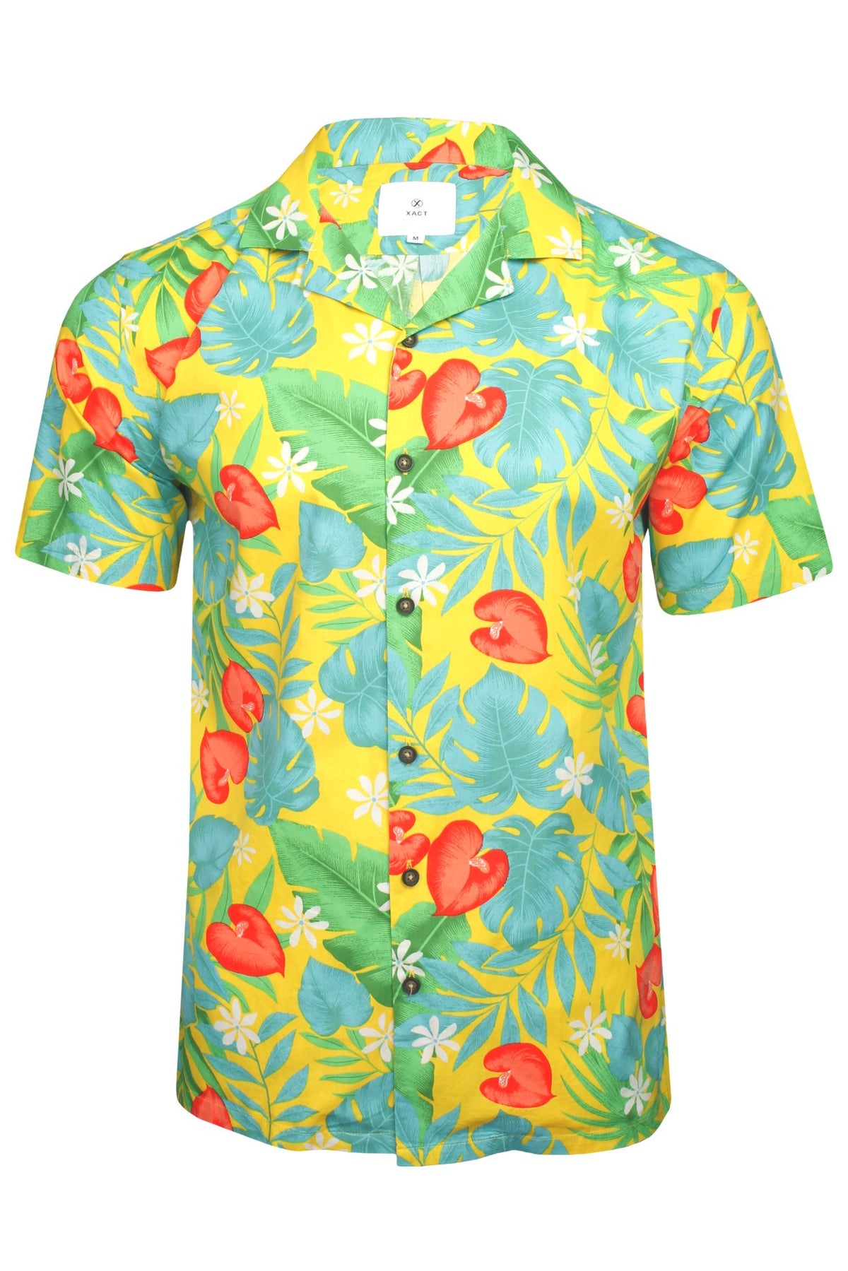 #group_vibrant-tropics---amber