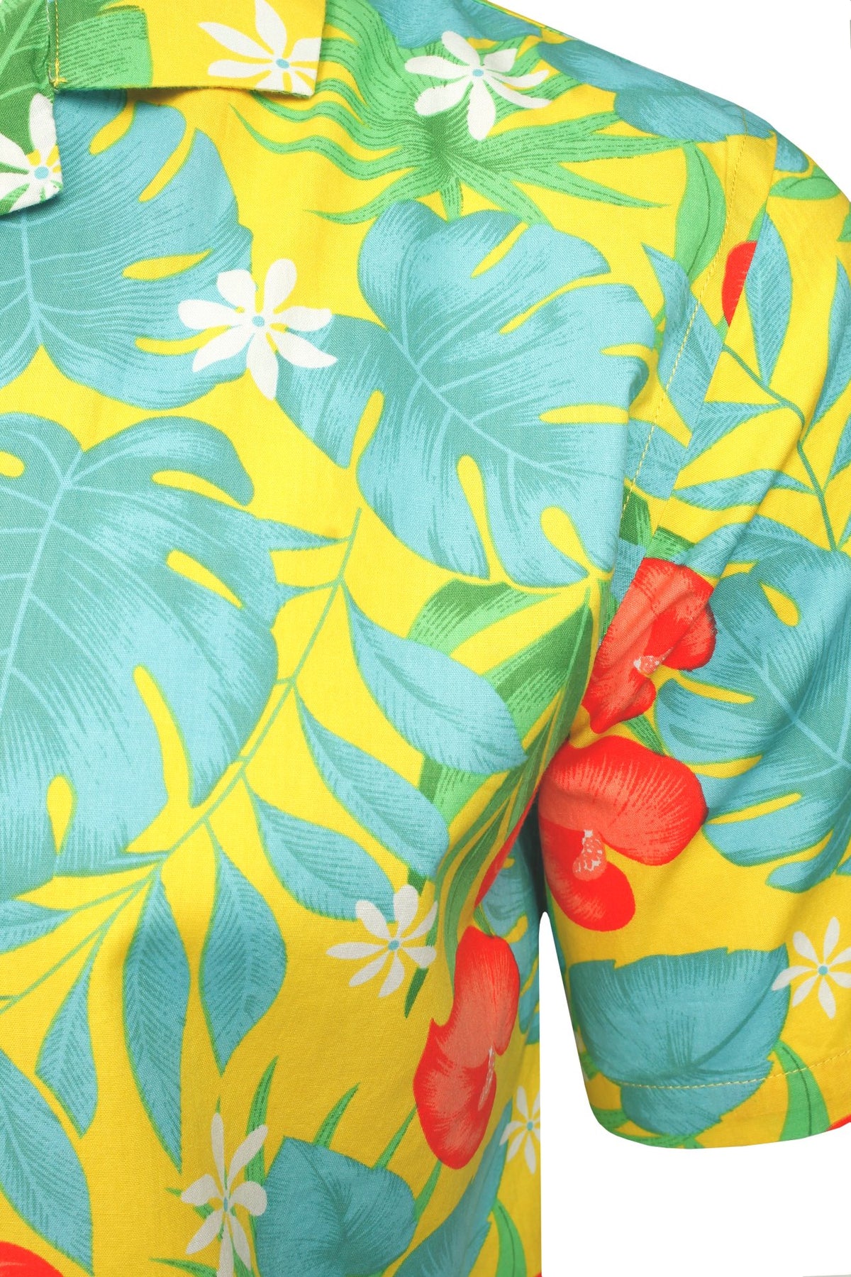 #group_vibrant-tropics---amber