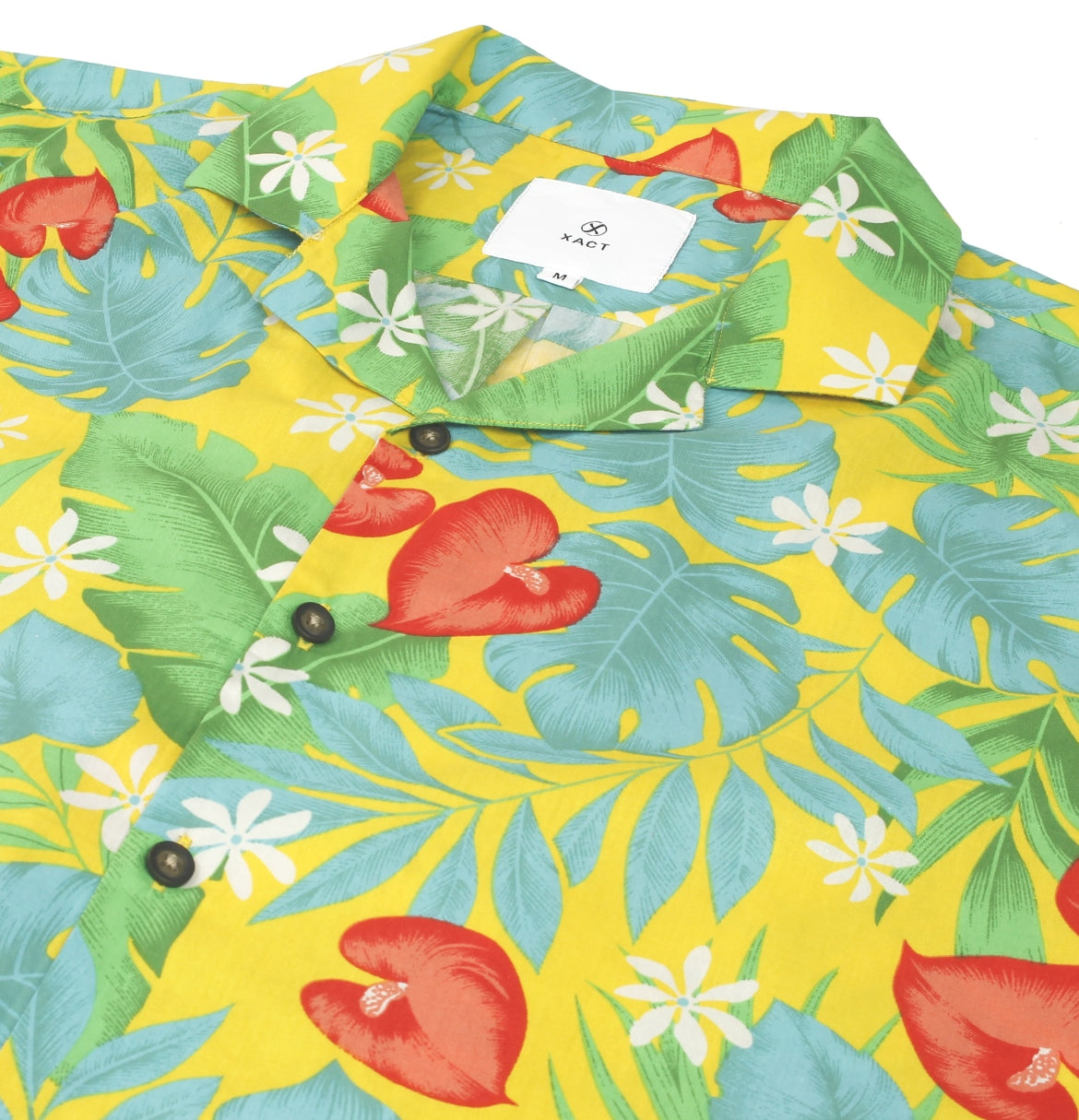 #group_vibrant-tropics---amber