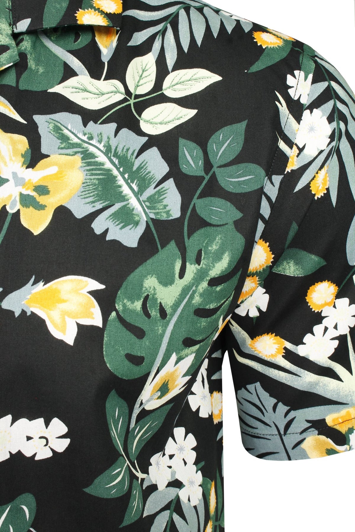 #group_bold-paradise---black