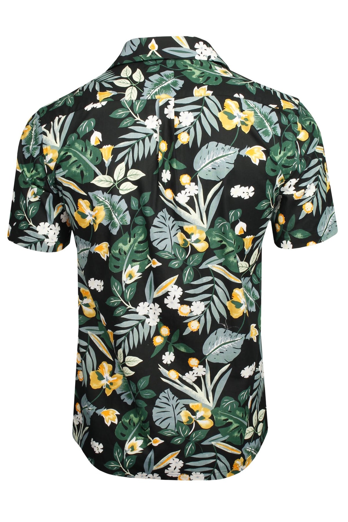 #group_bold-paradise---black
