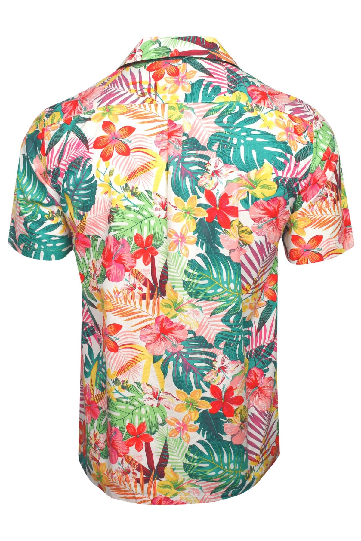 #group_tropical-escape---magneta/-white